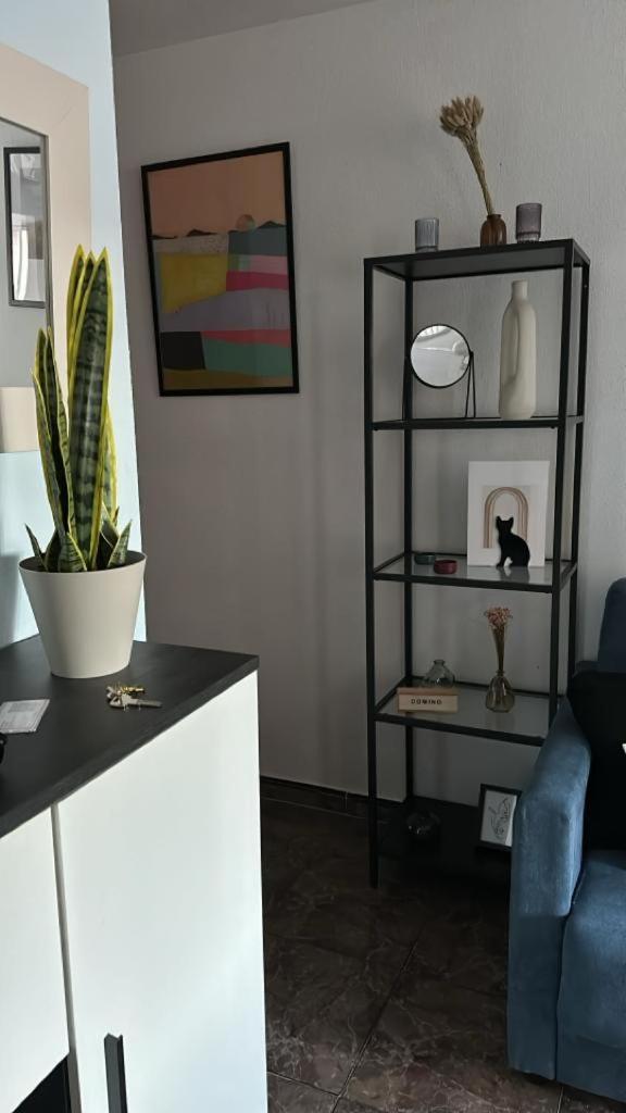 Playa De Los Naufragos Cozy Apartment With Pool Torrevieja Bagian luar foto